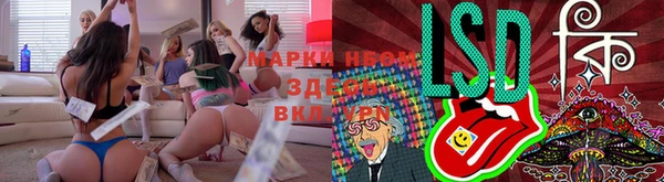 дживик Баксан
