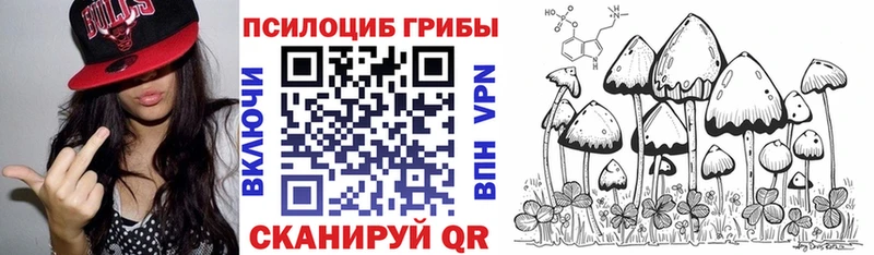 сколько стоит Коммунар Псилоцибиновые грибы Psilocybe
